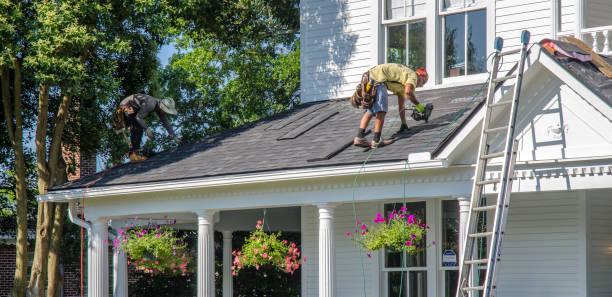 Professional Roofing Contractor in Gray, LA